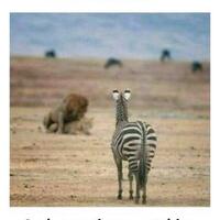 jadi-anak-mantan-pemain-quotbokepquot-malu-atau-biasa-saja