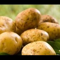 manfaat-sehat-kentang-cegah-penyakit-jantung-hingga-kaya-vitamin