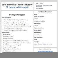 cari-sales-executive
