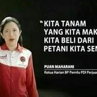 puan-akui-pemerintah-jokowi-jk-belum-punya-quotroadmapquot-pembangunan-sdm