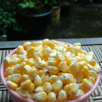 food-photography-pakai-kamera-hp-kenapa-tidak