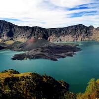 jamur-termahal-di-dunia-lahir-di-gunung-rinjani