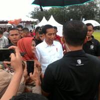 jokowi-jaga-kerukunan-selama-pilkada