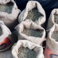 cerita-kopi--arabica-dan-robusta-ternyata-punya-dua-saudara-lainnya