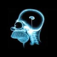 diduga-asusila-guru-ngaji-di-blambangan-umpu-diciduk-polisi