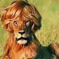 aktivis-gusdurian-nilai-indonesia-lebih-baik-tanpa-rizieq