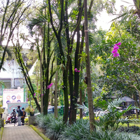 official-lounge-xiaomi-mi-a1--picture-perfect-dual-camera