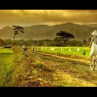 keindahan-dibalik-kesederhanaan-petani-dan-sawah
