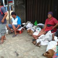 perjalanan-daging-anjing-di-medan-dari-pasar-hingga-piring-makan