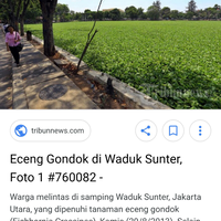 kepala-dispora-dki-sebut-danau-sunter-kini-layak-jadi-destinasi-wisata