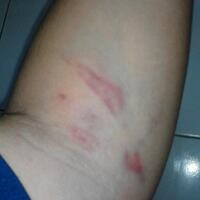 inivitation-kaskus-donor-darah-one-blood-one-nation-2018-serentak-di-58-regional