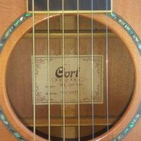all-about-acoustic-guitar---part-1
