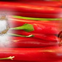 micin-cabe-asem---bumbu-penjualan-birahi-politik