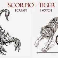 pilih-scorpio-dan-tiger-untuk-custom-dengan-budget-minim