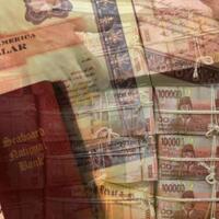 sudah-ikut-tax-amnesty--begini-aturan-penempatan-harta-setelahnya