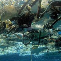 bule-ini-unggah-penampakan-laut-bali-penuh-sampah-warganet-ngenes
