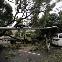 pohon-di-trotoar-sudirman-thamrin-akan-dicabut