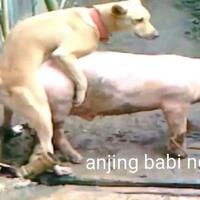 pemerintah-diminta-dorong-china-serius-berantas-narkoba