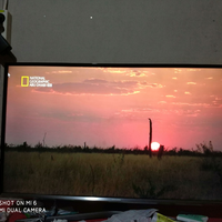 all-about-indihome-season-xi