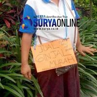 cerita-jw-yang-tawarkan-ginjalnya-demi-belikan-ponsel-wis-ping-piro-nyikso-wong-tuwo