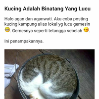 terungkap-5-rahasia-gelap-mobile-legends-bikin-kecewa-gan