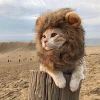 ini-kata-mahfud-md-soal-akun-restycayah