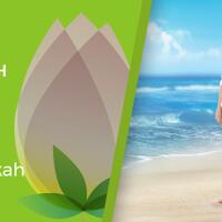 reksadana-sam-fixed-income-pasar-uang-equity-campuran--syariah