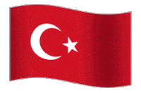 kehancuran-pasukan-serbia-dan-sekutu-di-pertempuran-berdarah-sungai-maritza