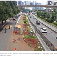 setelah-pepohonan-dicabut-begini-rasanya-jalan-kaki-di-sudirman