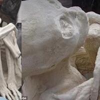 misteri-maria-si-mumi-berjari-panjang-asal-peru-yang-diklaim-sebagai-alien