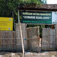 potret-lautan-sampah-di-teluk-jakarta