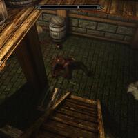 new-home-the-elder-scrolls-v--skyrim---part-2