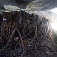 dalam-gua-istana-ular-doroteus-berjalan-menginjak-ular