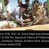 ntb-ekspor-11500-ton-jagung-ke-filipina
