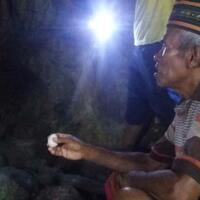 geger-ular-putih-raksasa-23-meter-ditemukan-bersama-ular-di-sebuah-gua-di-manggarai