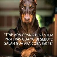 viral-oknum-polisi-memaki-dan-minta-uang-rp-150-ribu