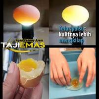 jangan-percaya--kalau-ada-yang-bilang-telur-palsu-di-jual-di-pasar