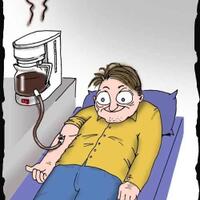 konsumsi-5-makanan-ini-untuk-atasi-efek-kecanduan-kafein