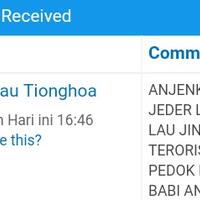 cina-atau-tionghoa