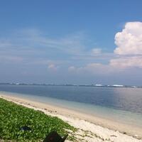 sudahkah-gansis-ke-pantai-di-ujung-genteng