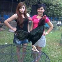 viral-disebut-mirip-ember-tas-gucci-tetap-laku-keras