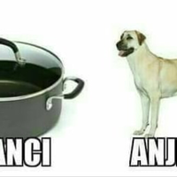 mengenal-laika-anjing-pertama-yang-mengorbit-bumi