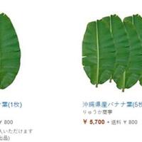 mahalnya-daun-pisan-di-jepang-1-lembar-dihargai-rp-300-ribu-tertarik-jualan