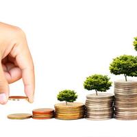 investasi-cepat-aman-murah-dan-untung-5-hanya-dalam-1-minggu-langsung-cair