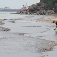 7-ribu-hektare-terdampak-tumpahan-minyak