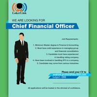 chief-financial-officer-cfo