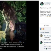 heboh-temuan-hantu-kuyang-di-marabahan-polisi-itu-hoax-fakta-di-lapangan-tidak-ada