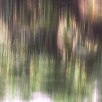 alun-alun-nikonian---part-14