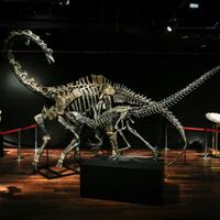 kamu-harus-mengunjungi-tempat-ini-jika-ingin-membeli-dinosaurus