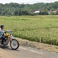 gerakan-2019gantipresiden-dianggap-bukan-aspirasi-rakyat